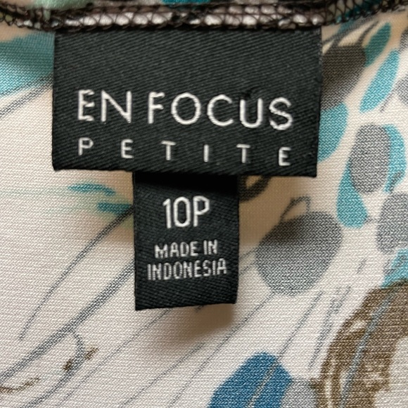 En Focus women’s size 10 petite dress - Picture 2 of 11